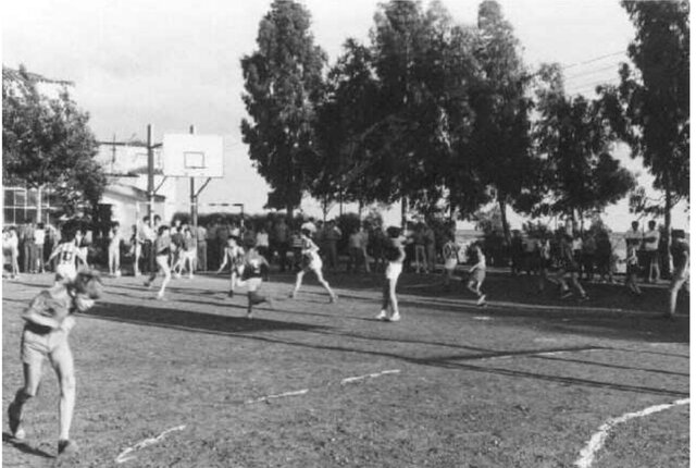 Actividades Deportivas