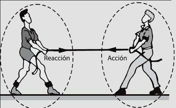 Tercera Ley de Newton