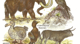 Timeline: Extinct animals