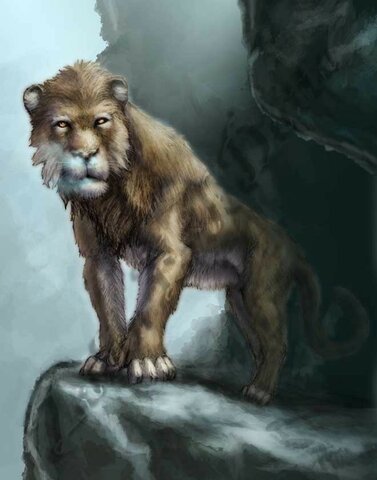 Cave lion