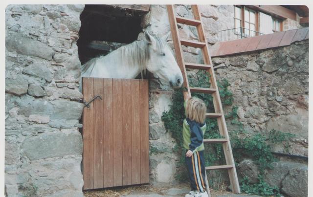Se comienza a ver mi pasión por los caballos