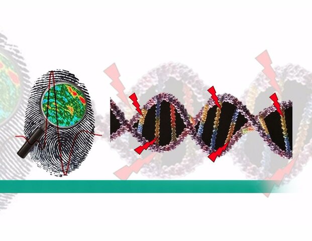 1985. La huella genética cumple 20 años como método de identificación universal