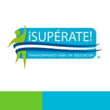 programa de desempeño