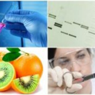 Timeline: Ingieneria Genetica y Biotecnologia