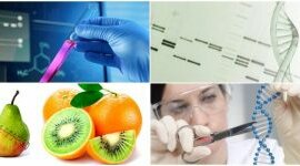 Timeline: Ingieneria Genetica y Biotecnologia