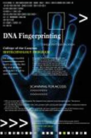 DNA FINGER PRINTING