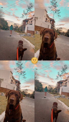 Me mude a mi nueva casa