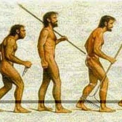 Timeline: Evolución de la administración