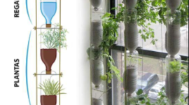 Timeline: Construcción de Huerto en Casa