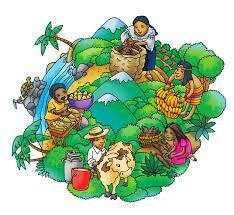 Socialmente productivos