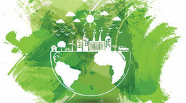 Timeline: Día Mundial del Medio Ambiente