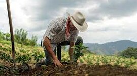 Timeline: Aspectos Económicos del Sector Rural