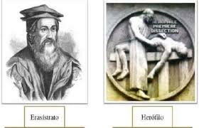 Médicos Herófilo y Erasístrato