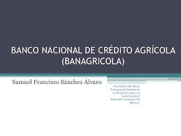 Se crea el Banco Nacional Agropecuario S. A. de C. V.