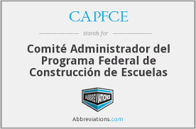 FUNDACIONES DEL COMITE  CAPFCE Y DE INSTITUCIONES