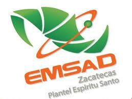 1996 EMSAD