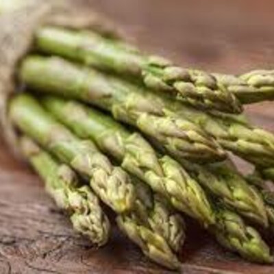 Timeline: ASPARAGUS