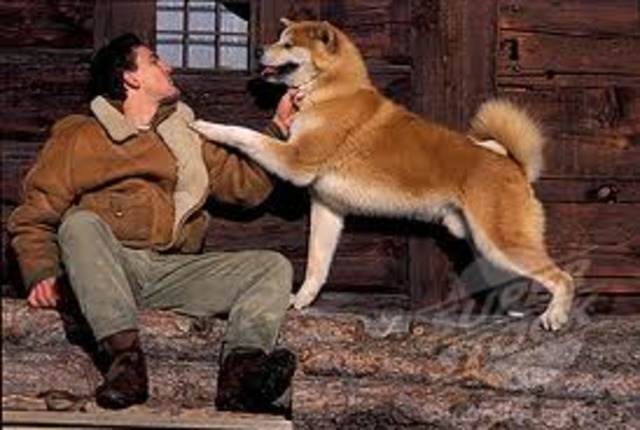 Narrator Leave Lakia Behind