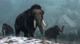 Timeline: Terciario y Cuaternario