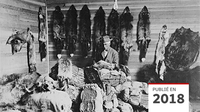 Déclin du commerce des fourrures
