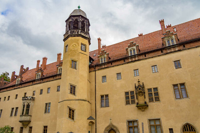 Se convierte en profesor