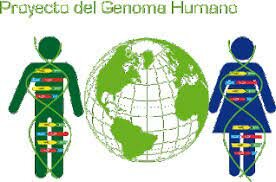 Finalizacion Del Proyecto Del Genoma Humano