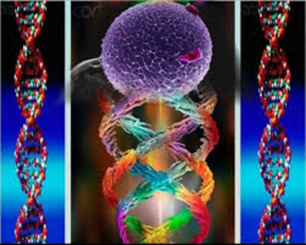 Molecula de acido nucleico