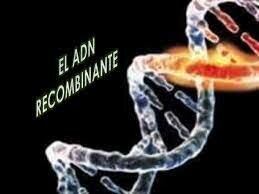 Se crea el primer ADN recombinante