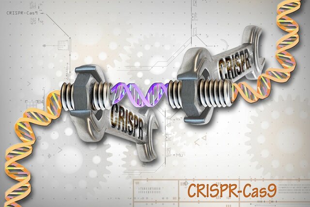 Crispr cas9 es usado para la edición del genoma humano