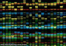 secuencia completa del genoma humano