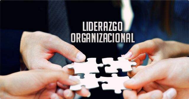 Liderazgo organizacional