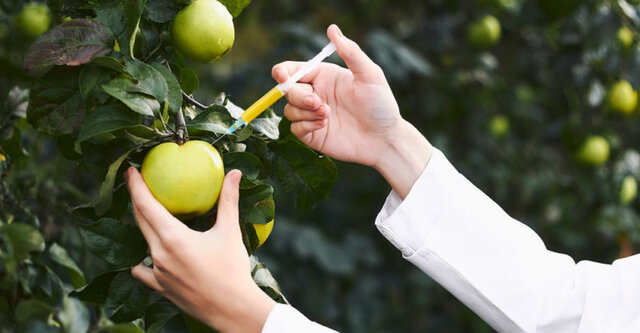 Productos transgénicos