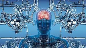 El cerebro en 5000 años