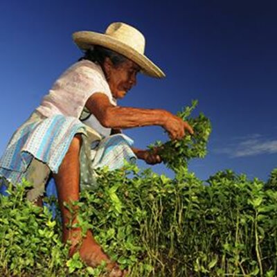 Timeline: Programas gubernamentales nutricionales que se han aplicado en México a través del tiempo