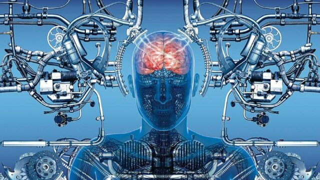 EL CEREBRO HUMANO EN 5000 AÑOS