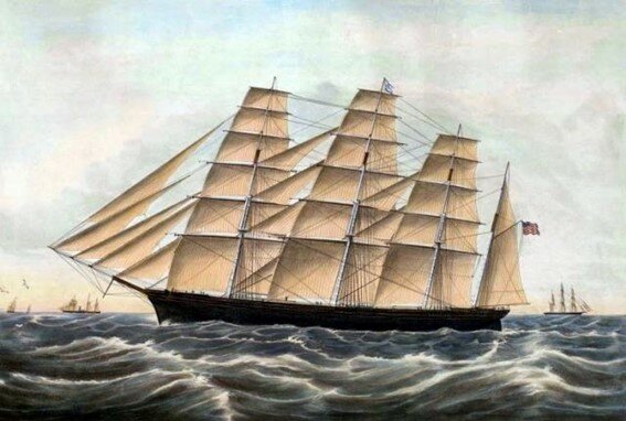 Con sus averiguaciones Javier y Violeta llegan a la conclusión de que Beatriz escapó en el Savanna con el collar porque no quería casarse con alguien a quien no amaba