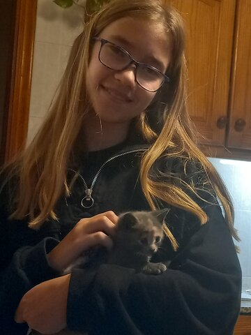 My mother promises me a cat in September