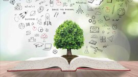 Timeline: A Study of American Education and Historical Events That Shaped It