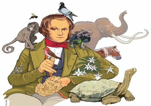 La teoría de Darwin