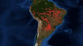 Timeline: Línea del tiempo Amazonas