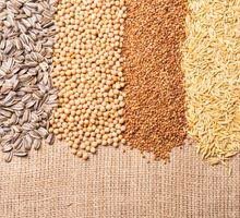 Adapoption de la corns laws