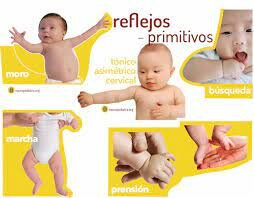 ETAPA DE LOS MOVIMIENTOS DE REFLEJOS