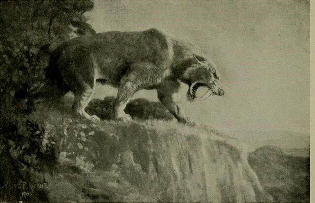 Sabre-toothed Cat