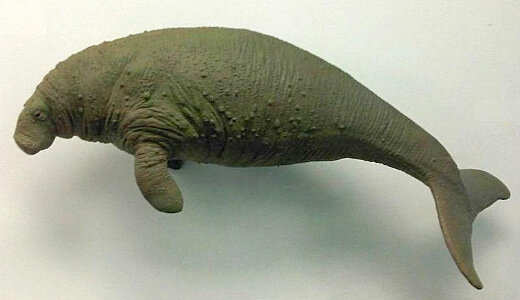 Stellers Sea Cow