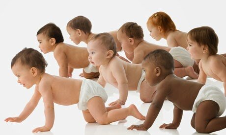 ETAPA DE LOS MOVIMIENTOS RUDIMENTARIOS