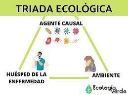 Modelo de Triada ecológica- 1965: