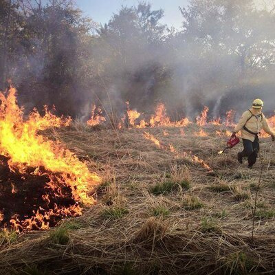 Timeline: INCENDIOS FORESTALES CANTÓN COTACACHI, PROVINCIA IMBABURA PERÍODO 2018 - 2020     Elaborado por: Vanessa Simbaña
