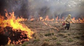 Timeline: INCENDIOS FORESTALES CANTÓN COTACACHI, PROVINCIA IMBABURA PERÍODO 2018 - 2020     Elaborado por: Vanessa Simbaña