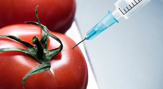 Aprueban los alimentos transgénicos
