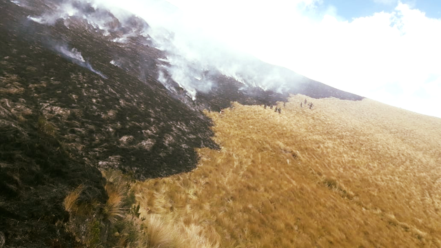 Parroquia Imantag, Parque Nacional Cotacachi Cayapas, Páramos de Piñan -Contrayerba